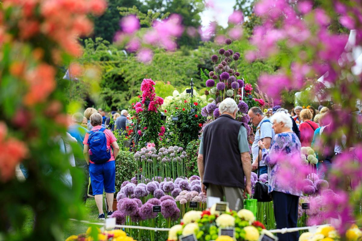 11 Of The Best Gardening Shows And Festivals In 2020 Bournemouth Echo