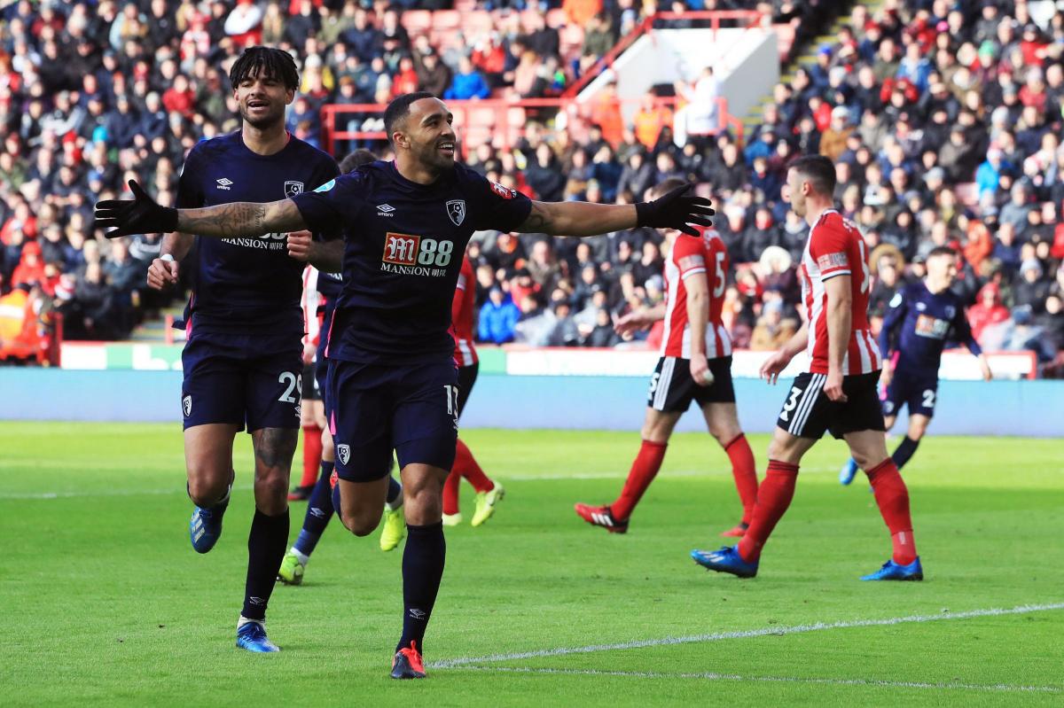 「Callum Wilson vs Sheffield United」的圖片搜尋結果