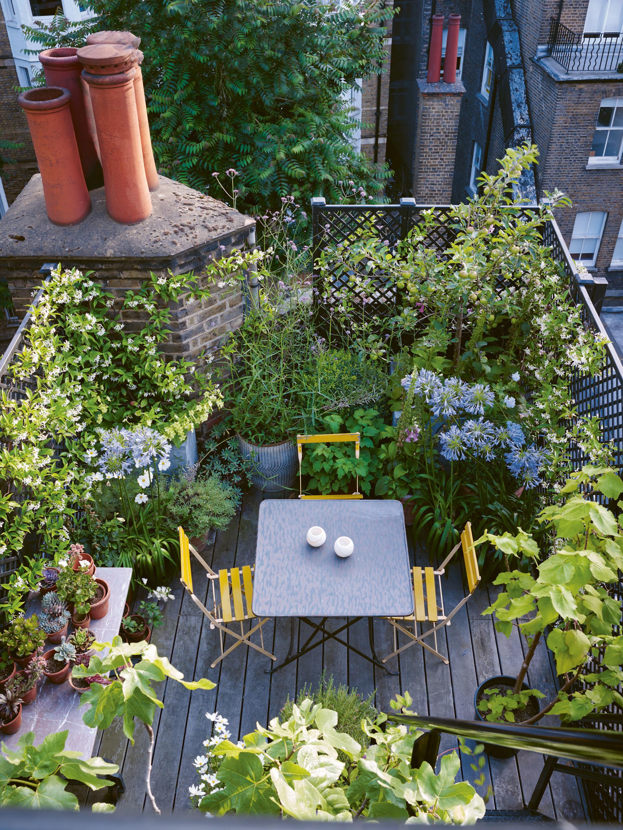 How to transform your small garden or balcony  Bournemouth Echo