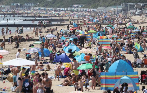Beach Porn Youth - Bournemouth beach named the UK's favourite beach | Bournemouth Echo
