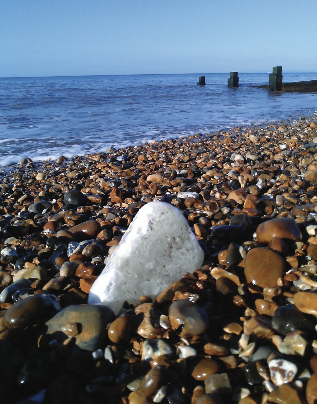 Palm oil has washed up on the shore. Photo: New Forest District Council/Twitter