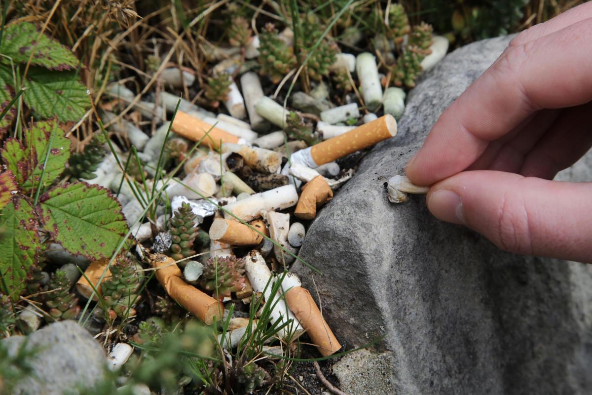 One Giant Ashtray Bournemouth Piling Up With Cigarette Butts Discarded By Smokers Bournemouth Echo