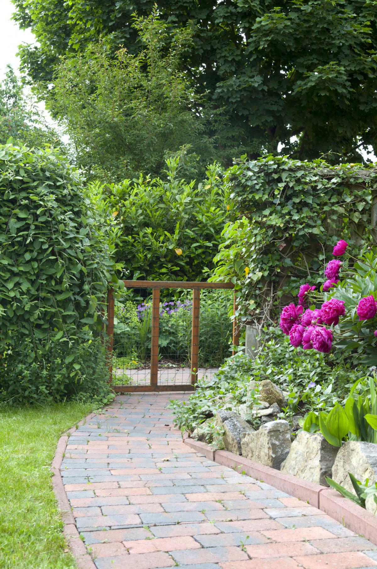 Gardening Transform Your Outside Space By Repointing Your Garden